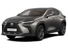 Ворсовые коврики на Lexus NX II 2021 - 2025 в Королеве, Московской области