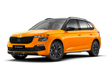 Ворсовые коврики на Skoda Kamiq (Европа) 2019&nbsp;-&nbsp;2026 в Королеве, Московской области