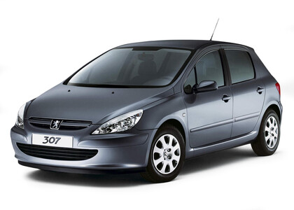 Коврики на Peugeot 307 2001 - 2008 в Королеве, Московской области