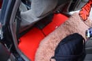 Коврики на Toyota Chaser (X100) 1996 - 2001 в Королеве, Московской области