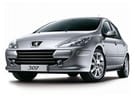 Коврики на Peugeot 307 2001 - 2008 в Королеве, Московской области