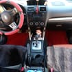 Ворсовые коврики на Subaru Forester IV 2012 - 2019 в Королеве, Московской области